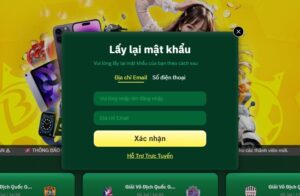 Nhập địa chỉ email hoặc số điện thoại