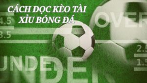 Cách đọc kèo bóng đá tài xỉu chính xác cho người mới